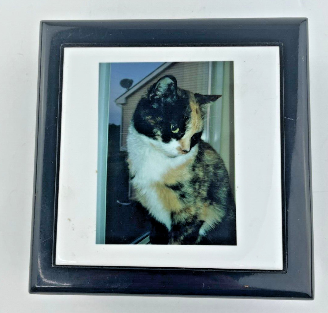 Cat Calico Jewelry/Trinket Box - Interior 4 1/2 x 4 1/2 x 1 1/4\