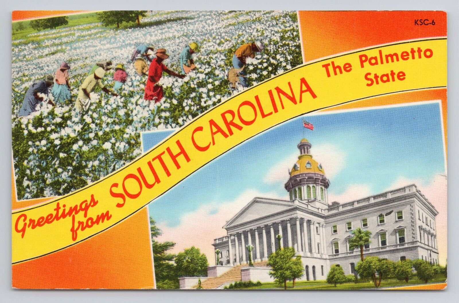 Greetings From South Carolina The Palmetto State Chrome Postcard 1557