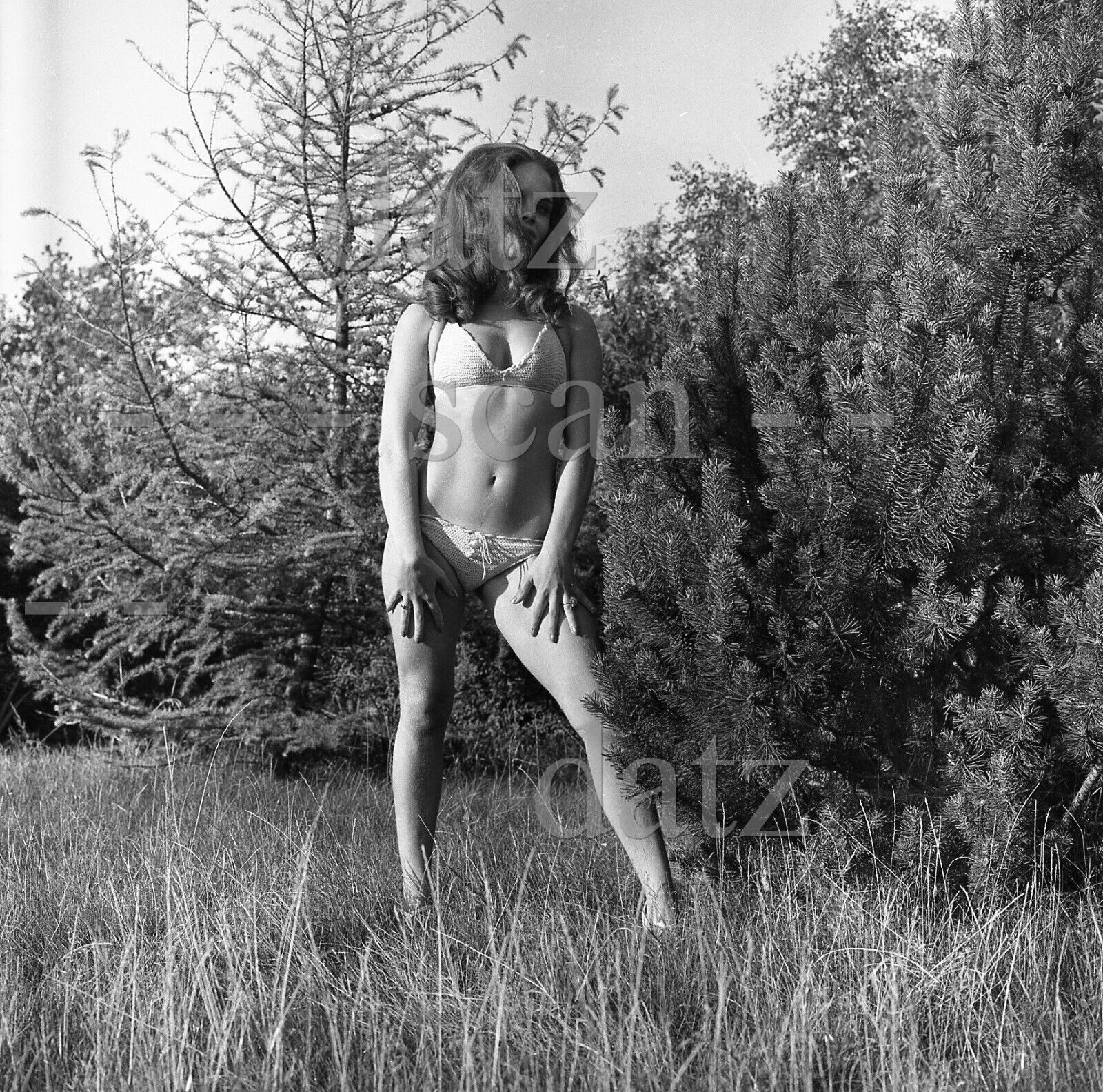 1960s Negative-sexy pinup girl in bikini outdoors-cheesecake t459692