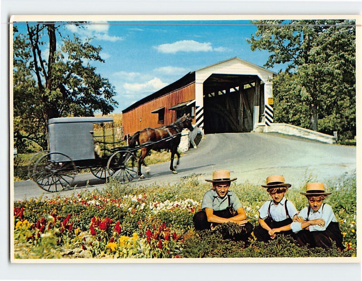 Postcard Amish country scene Greetings from The Amish Country Pennsylvania USA