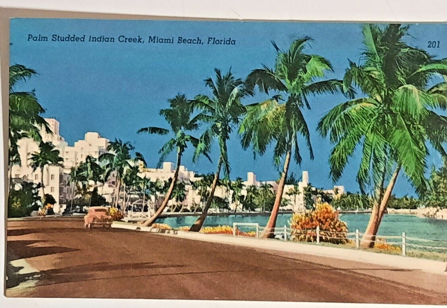 Vintage postcard PALM STUDDED INDIAN CREEK MIAMI FLORIDA unposted