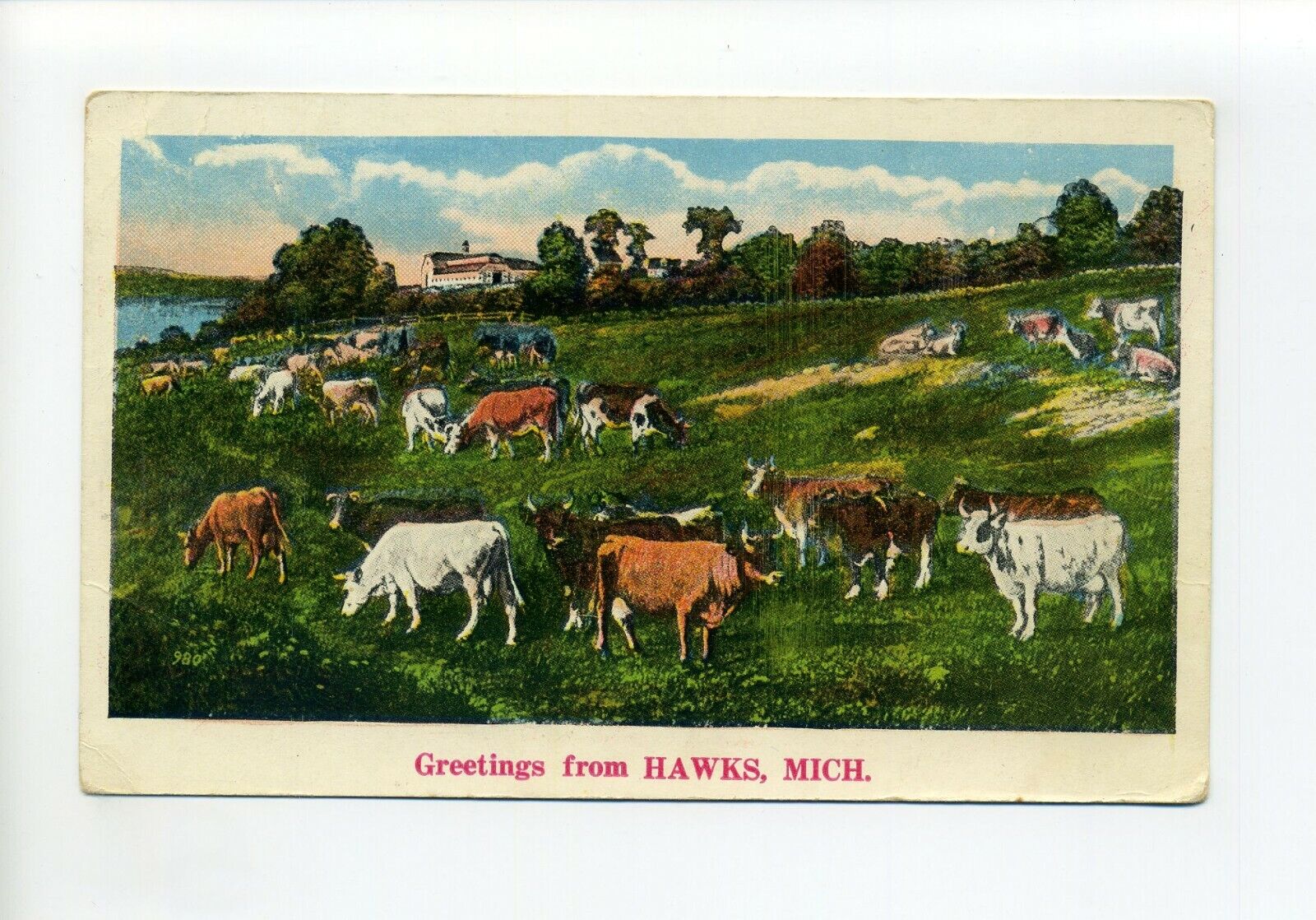 Greetings from Hawks MI 1930\'s postcard Presque Isle County, cows grazing