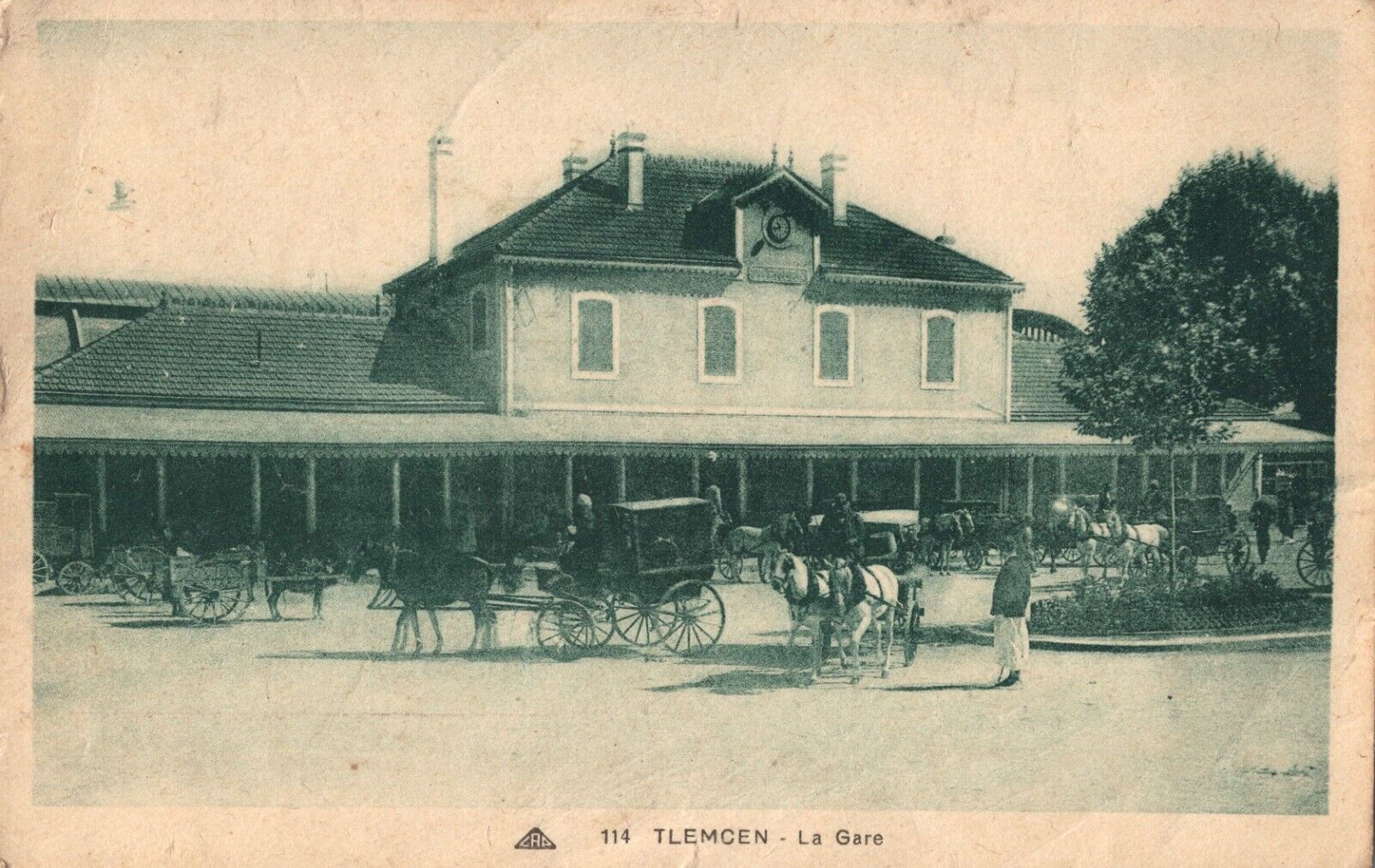 Horse & Buggy Outside the Tlemcen Railway Station Algeria Vintage Postcard