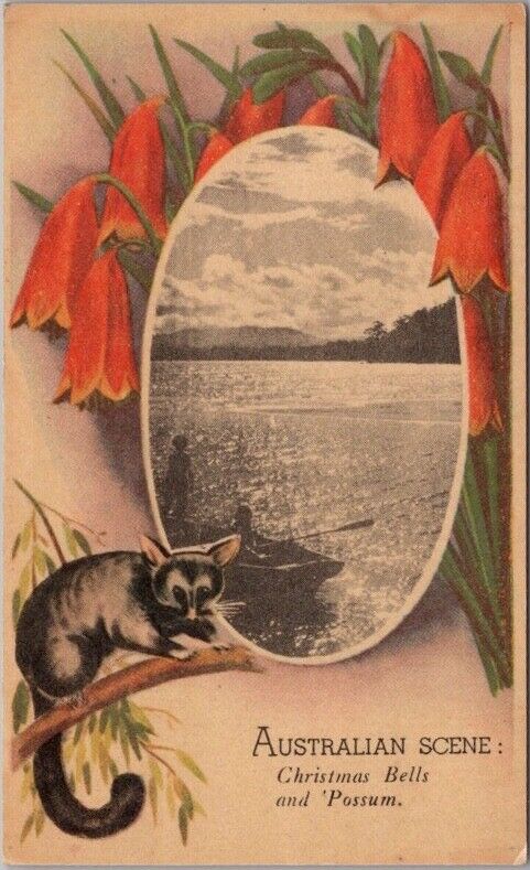 Vintage AUSTRALIA Postcard \