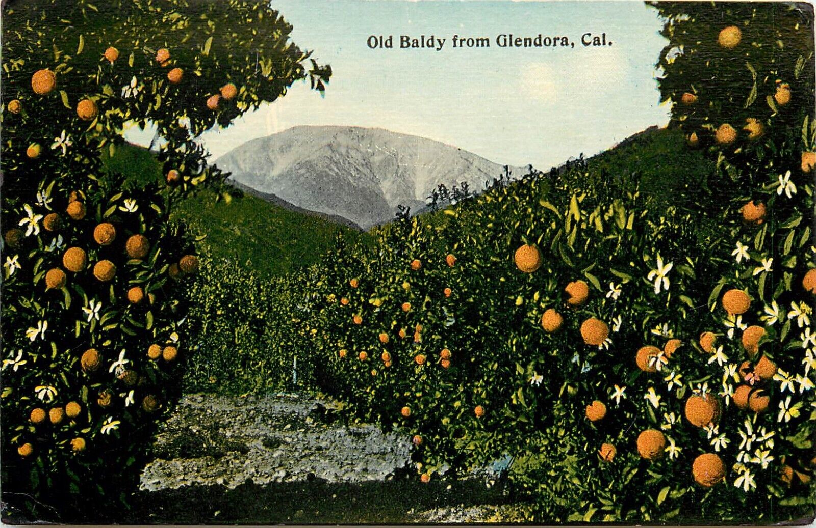 c1910 Postcard; Glendora CA Old Mt. Baldy & Orange Groves Tichnor Bros Unposted