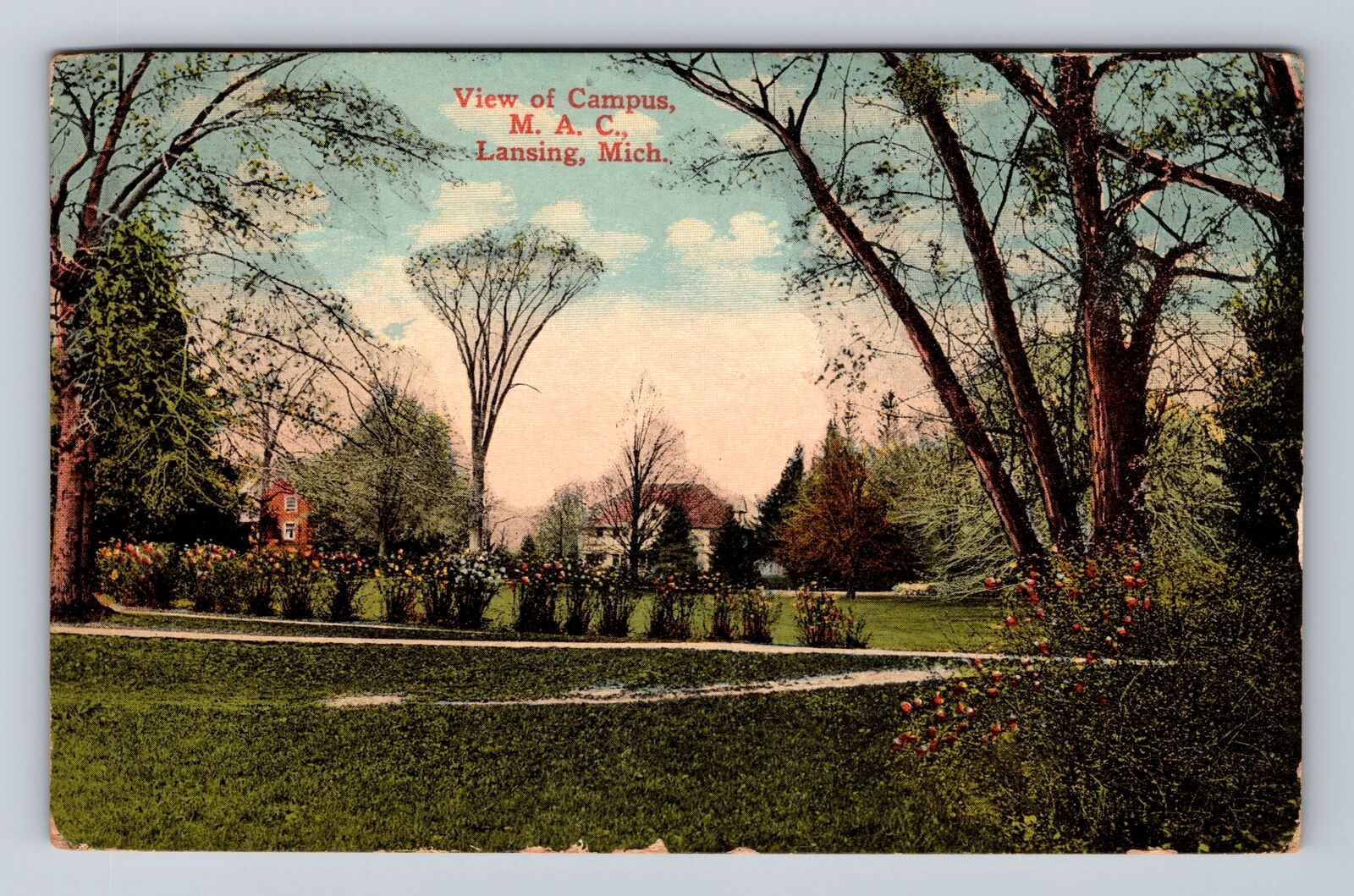 Lansing MI-Michigan, View Of Campus M A C, Antique, Souvenir Vintage Postcard