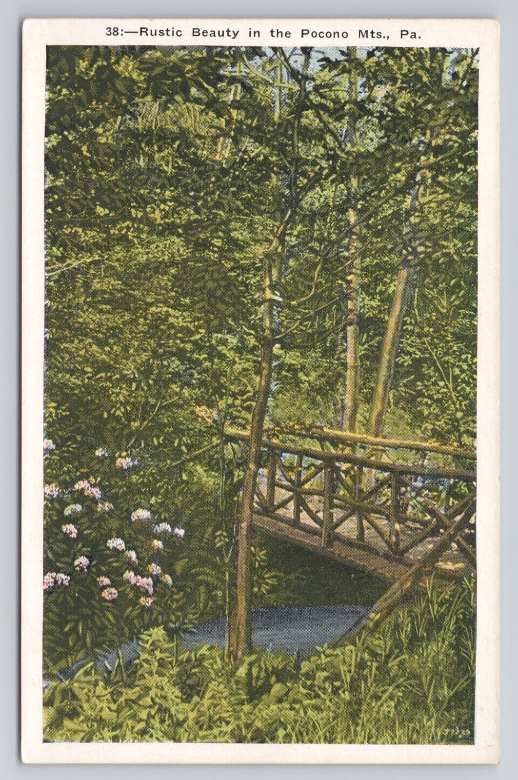 Postcard Rustic Beauty in The Pocono Mts Pennsylvania c1920