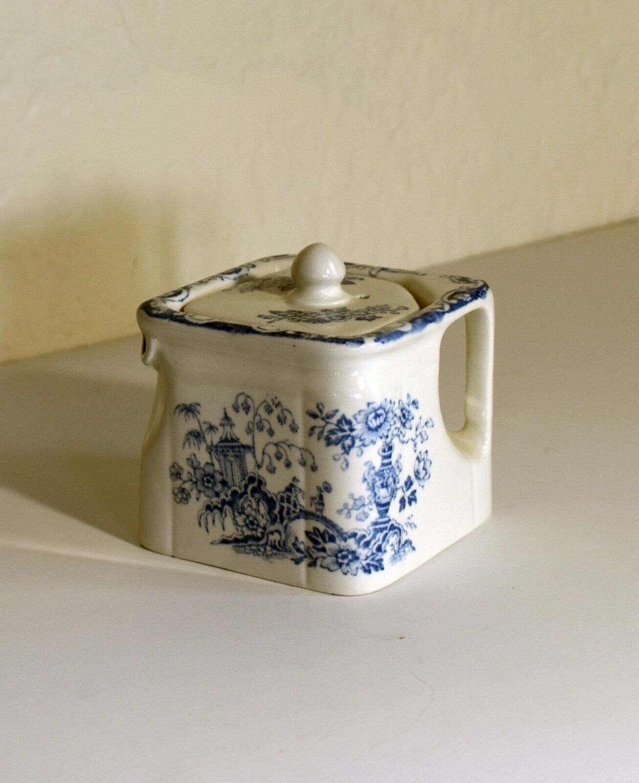 Cube Teapot B W C Celeste B & L England Oriental Garden Scene Very Cool