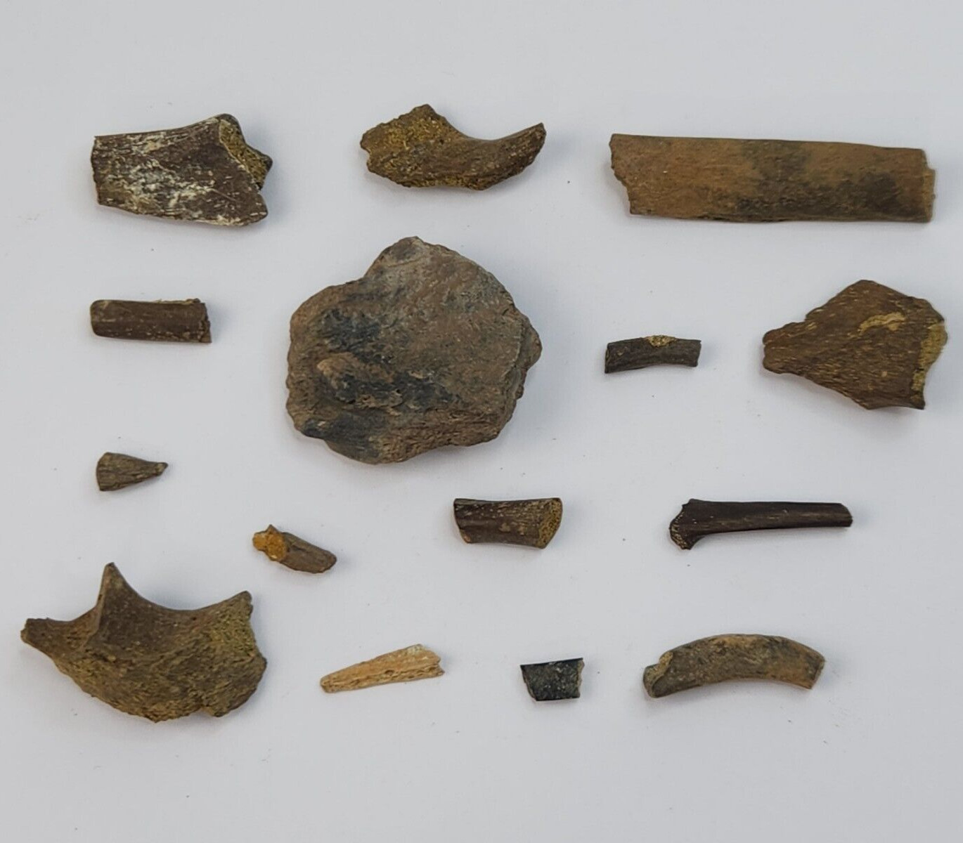 Unidentified 15 Fossil Bones Bulk Lot - Lance Fm - Niobrara Co, WY