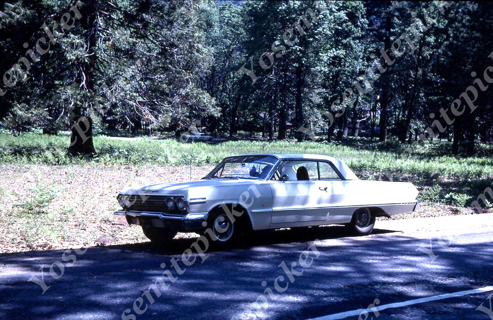 sl52  Original Slide 1969  white Chevy Impala car 353a