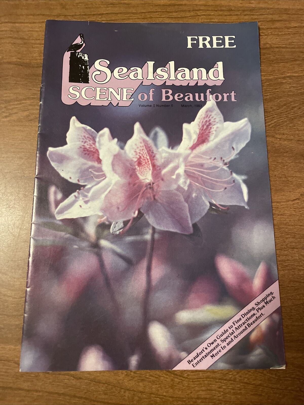 Vintage March 1983 Sea Island Scene Magazine Beaufort SC Local Guide