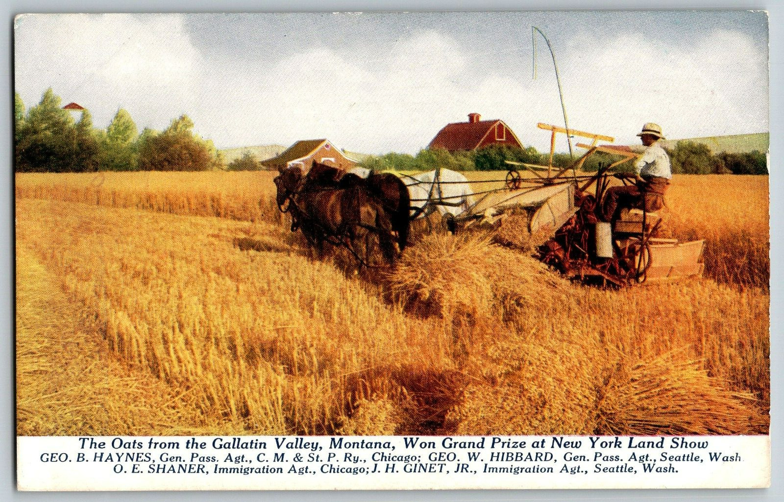 New York Land Show, The Oats From the Gallatin Valley Montana - Vintage Postcard