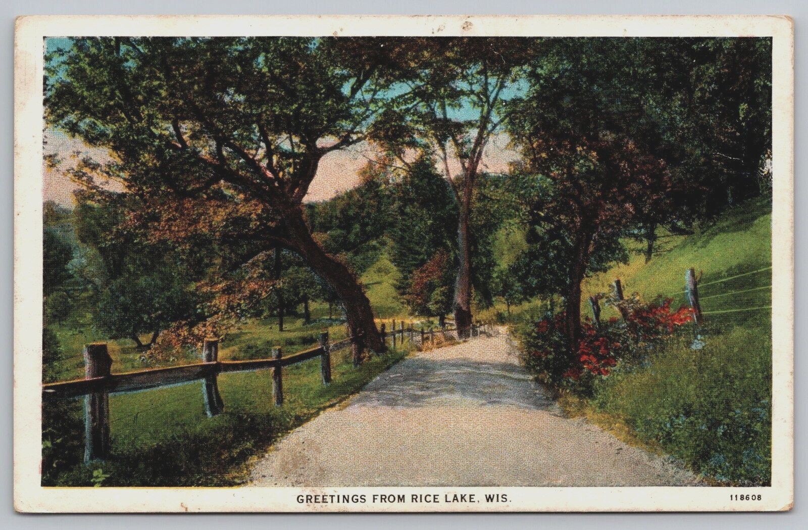 Greetings From Rice Lake Wisconsin WI Scenic Country Road View Vtg Postcard C10