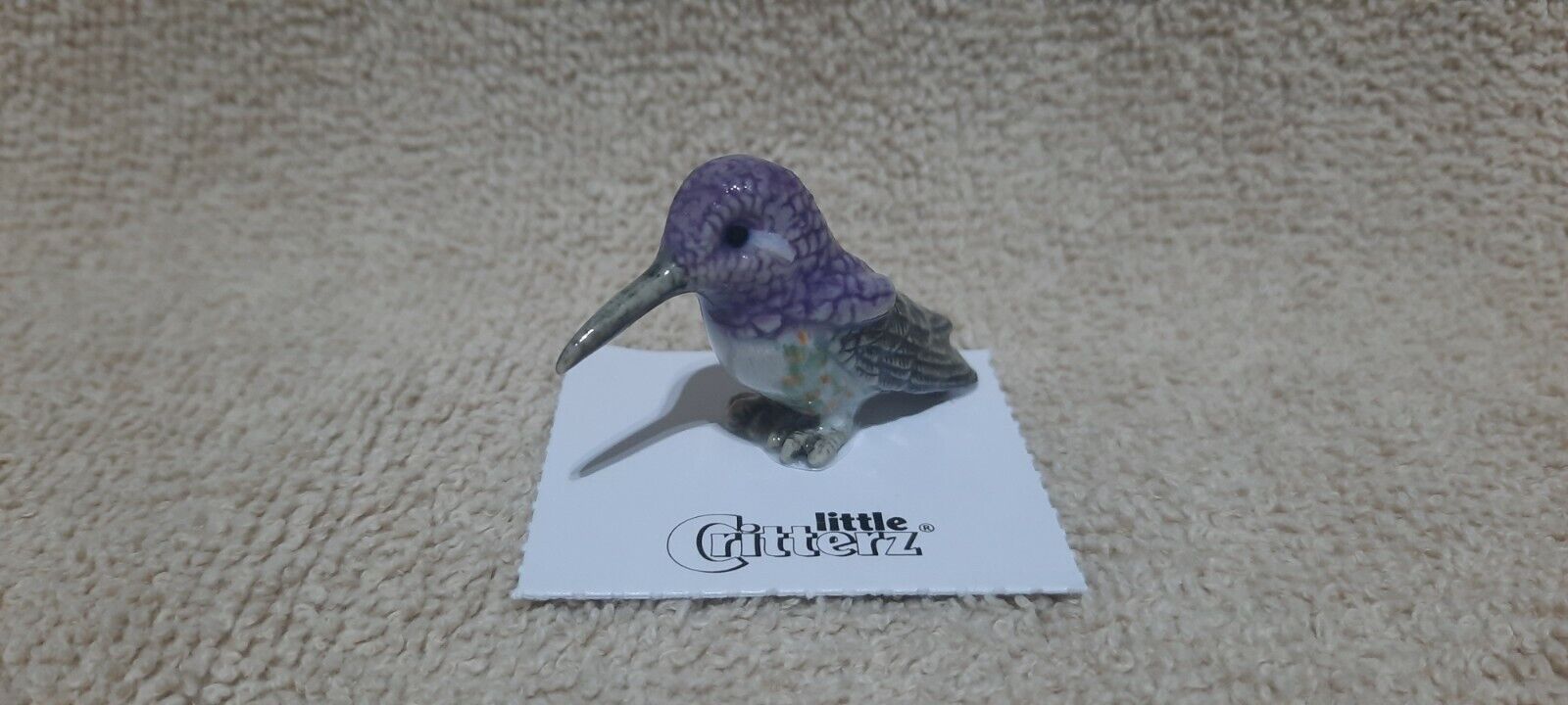 LITTLE CRITTERZ Costa's Hummingbird 