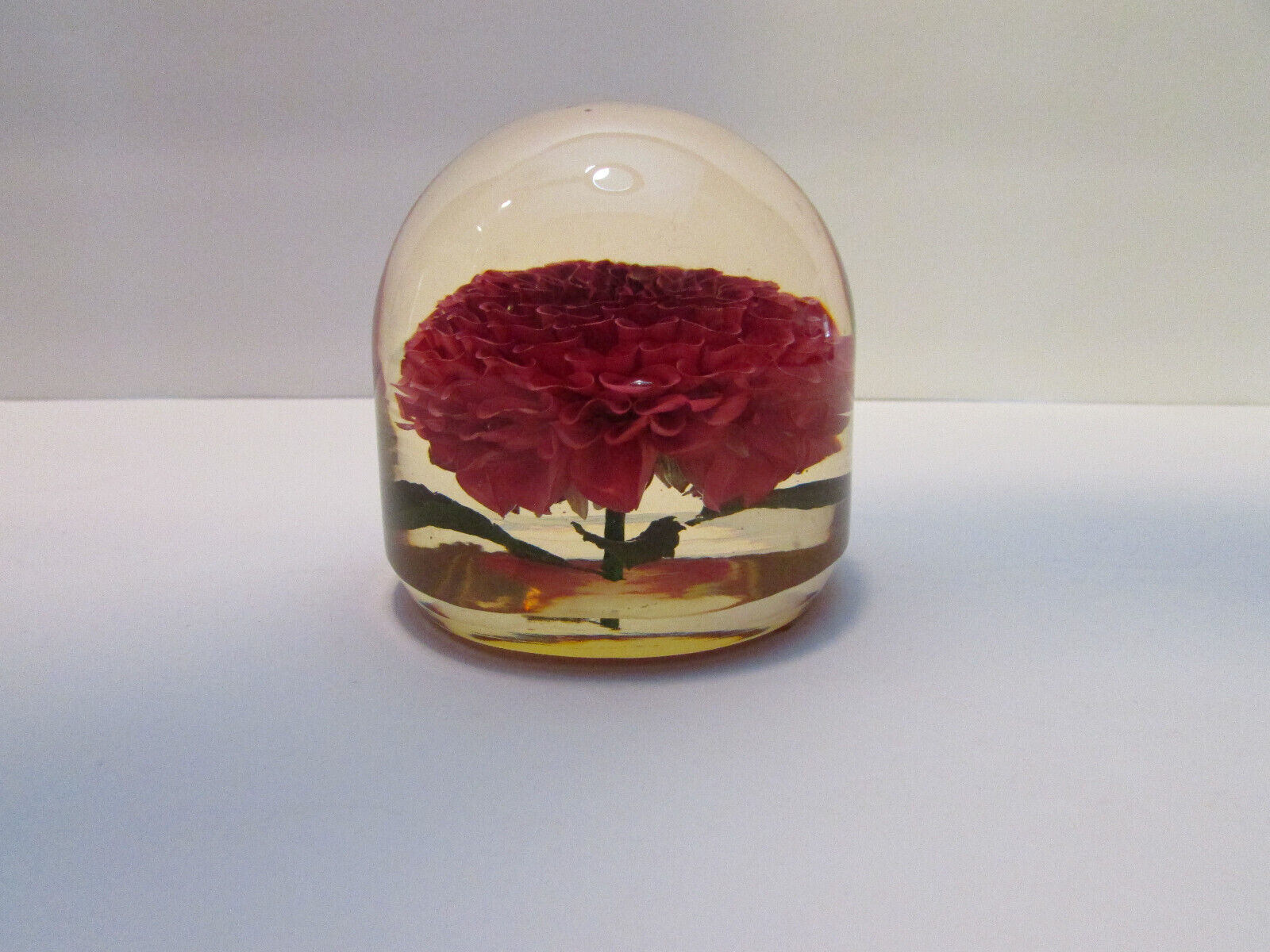 beautiful wine colored zinnia flower lucite paperweight signed W Rolfe