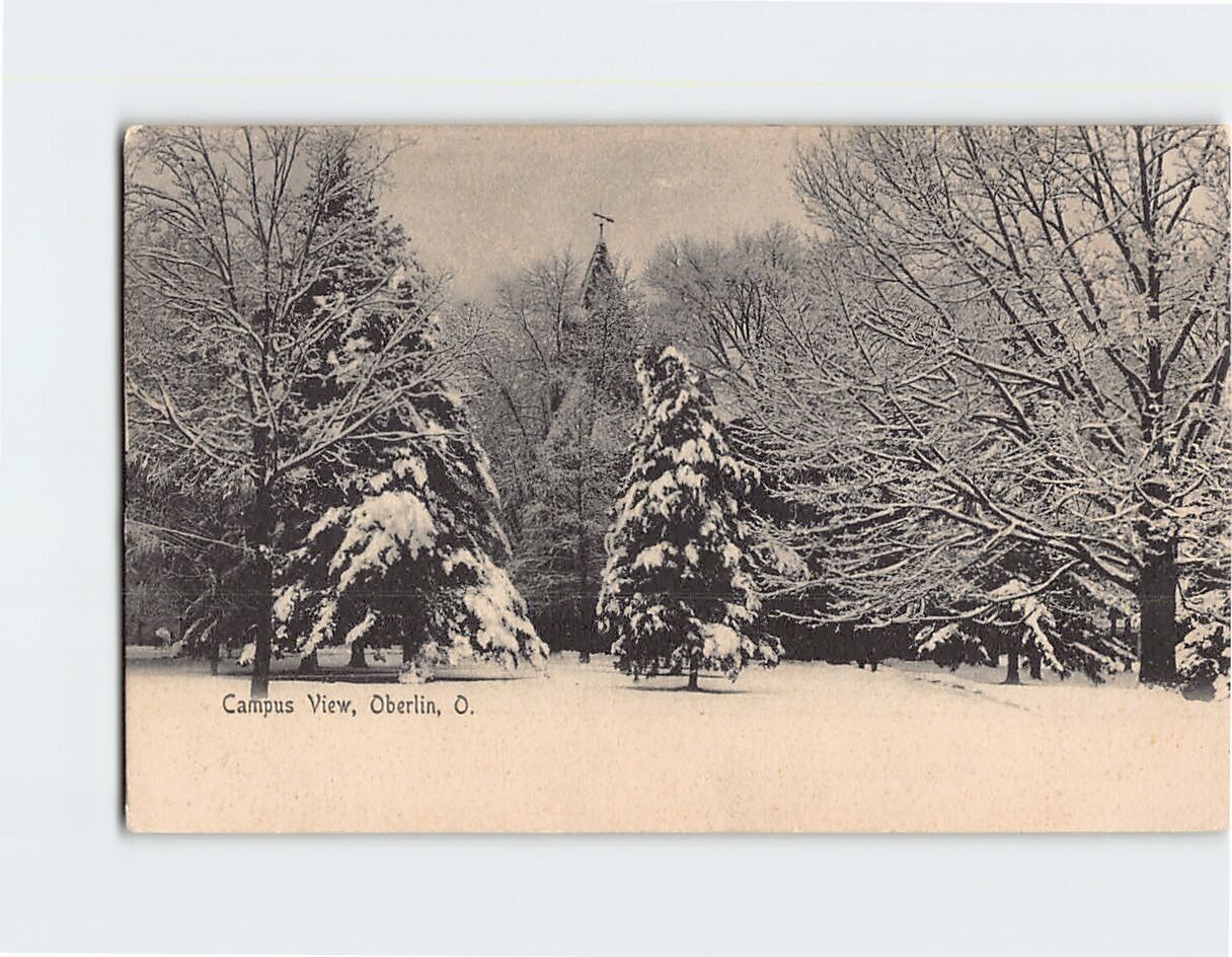 Postcard Campus View Oberlin Ohio USA