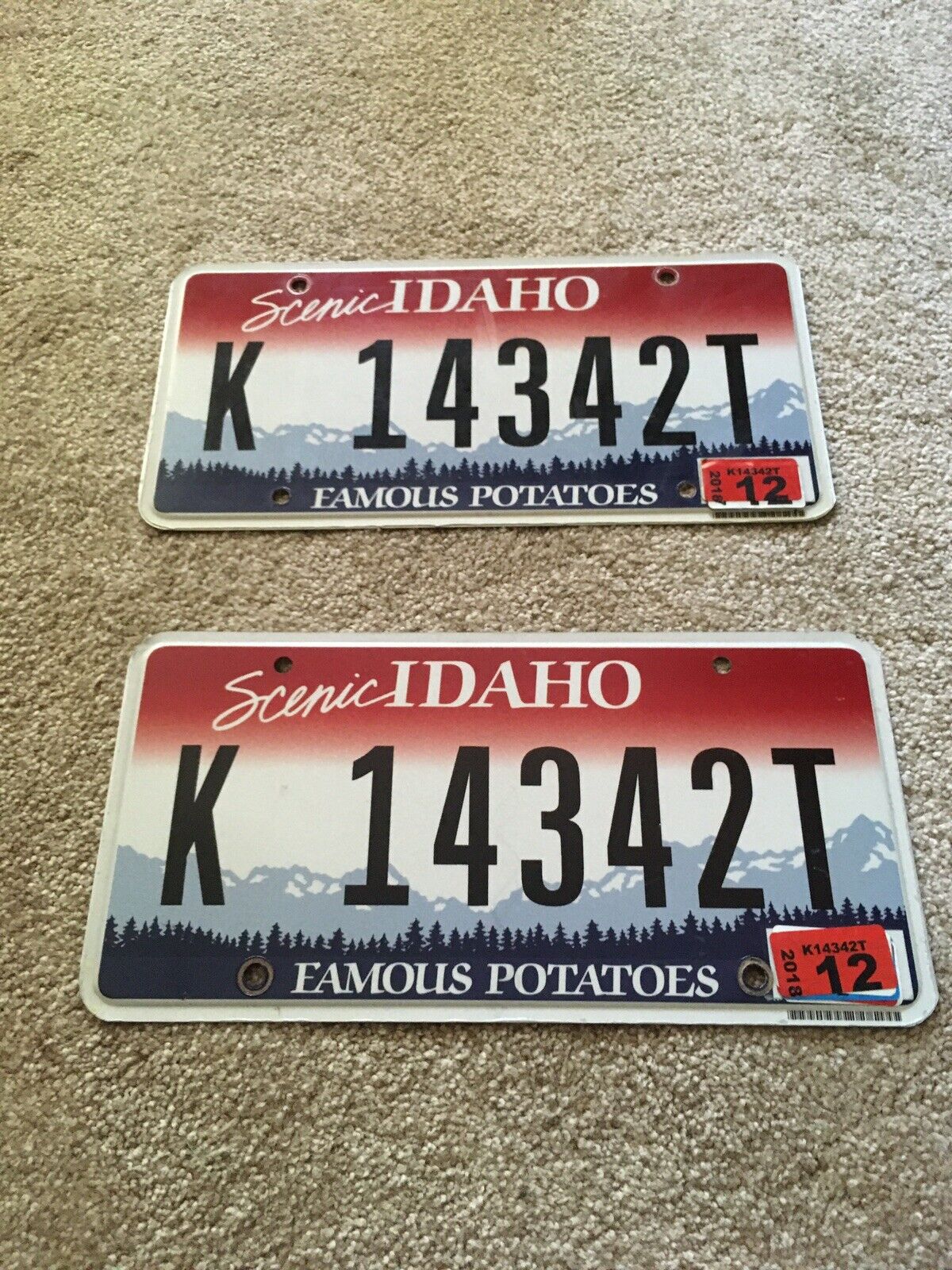 Idaho Car License Plates Expired 2018