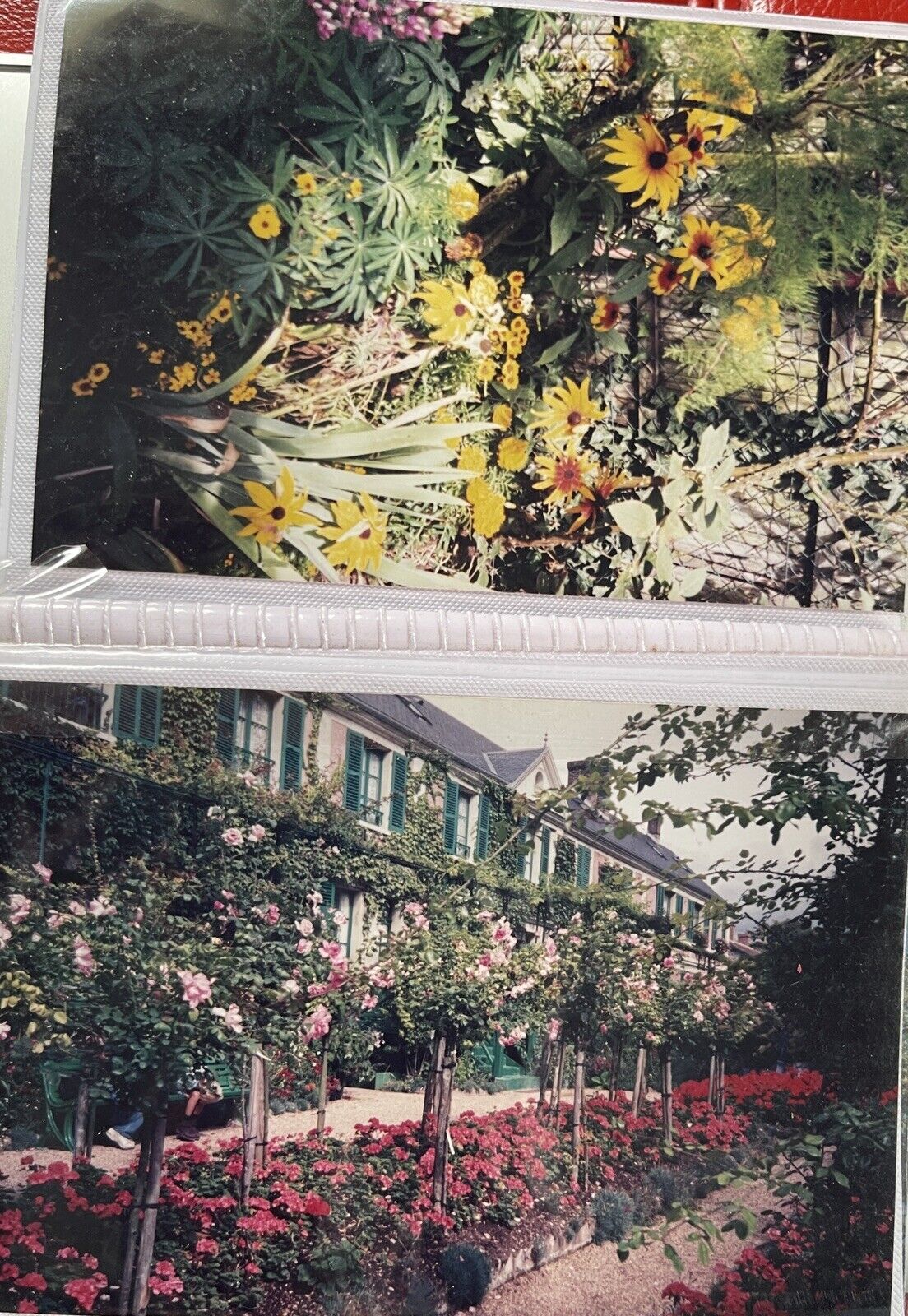 Photo Album Monet\'s Gardens at Giverny ORIGINAL Personal  24 Pics from 1995