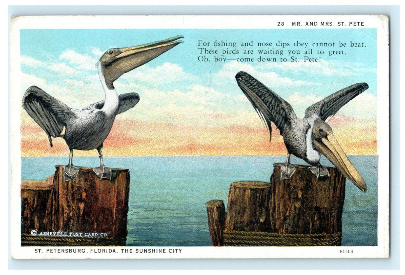 St. Petersburg Florida The Sunshine City Pelicans Birds Vintage Antique Postcard