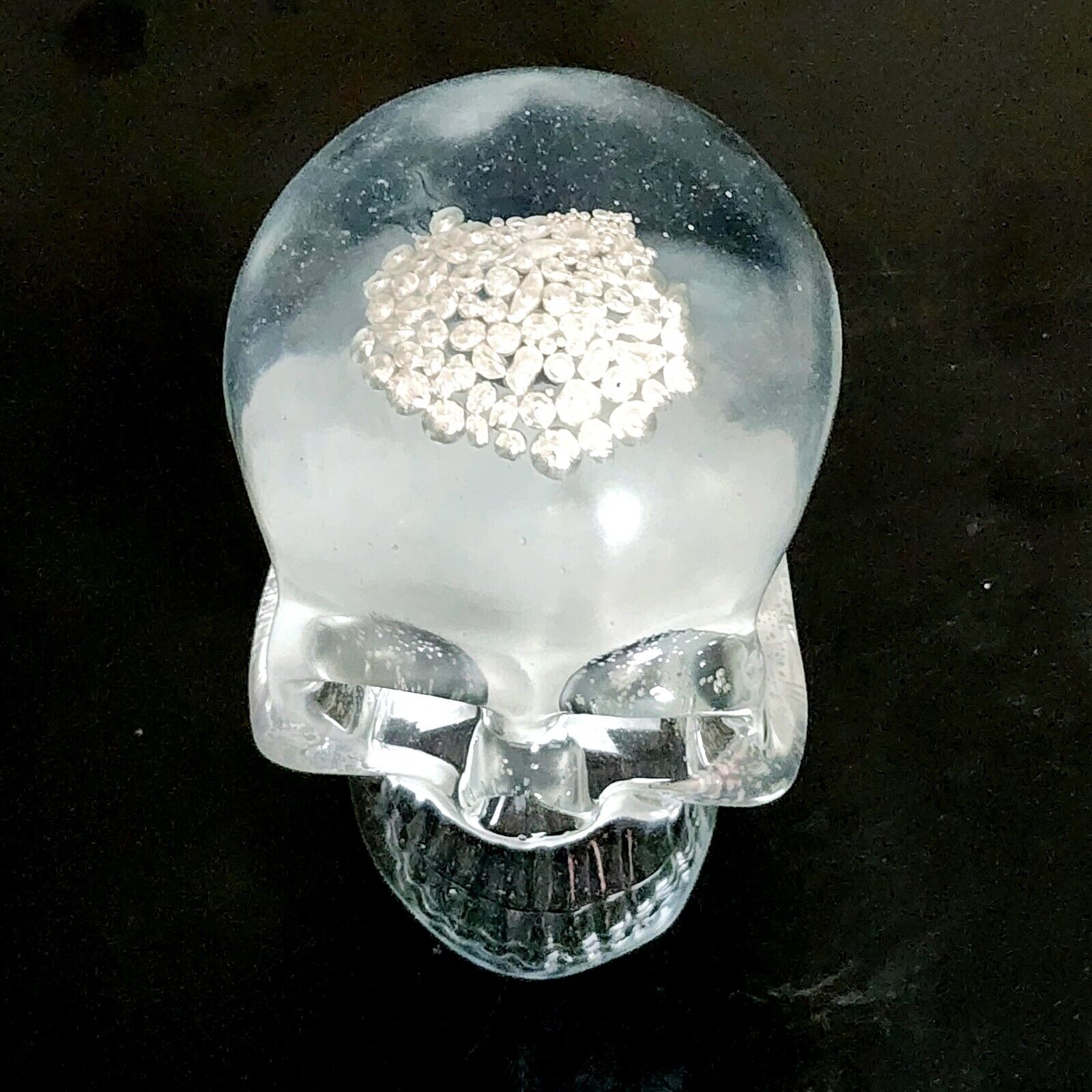 Shot For Brains Handmade Acrylic Skull Encased With .5 oz .999 Fine Silver Shot