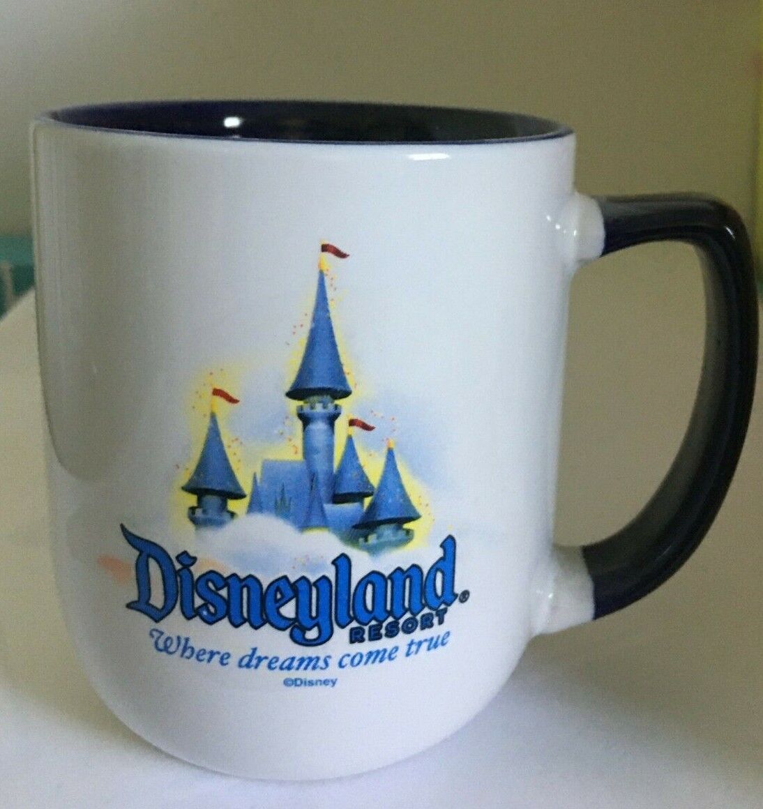 Disneyland Resort Castle Where Dreams Come True Mug Cup NWT