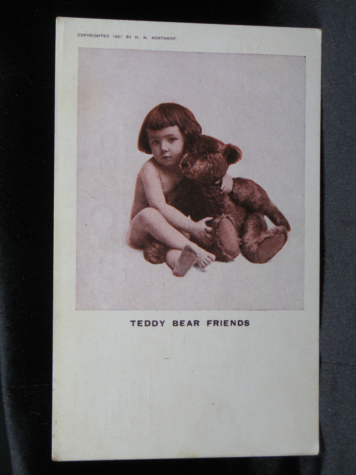 Teddy Bear Friends Postcard UNPOSTED 1907 Northrop (0161)