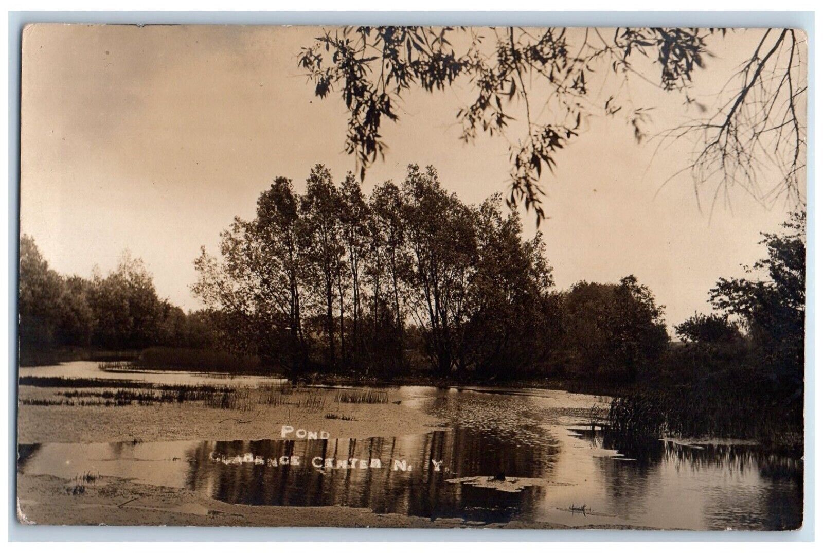 c1910's View Of Pond Clarence Center New York NY RPPC Photo Antique Postcard