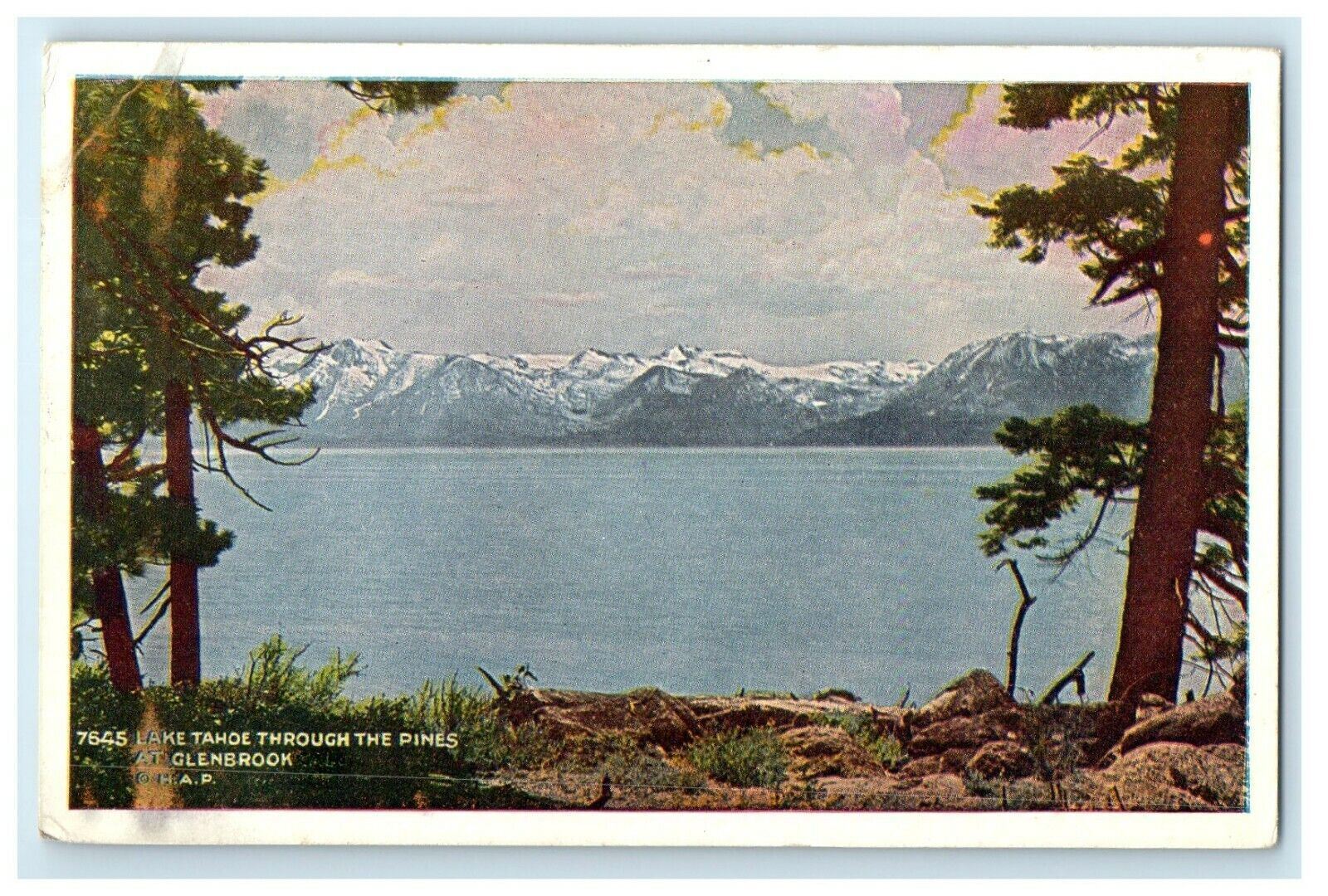 c1910's Lake Tahoe Through The Pines At Glenbrook California CA Antique Postcard