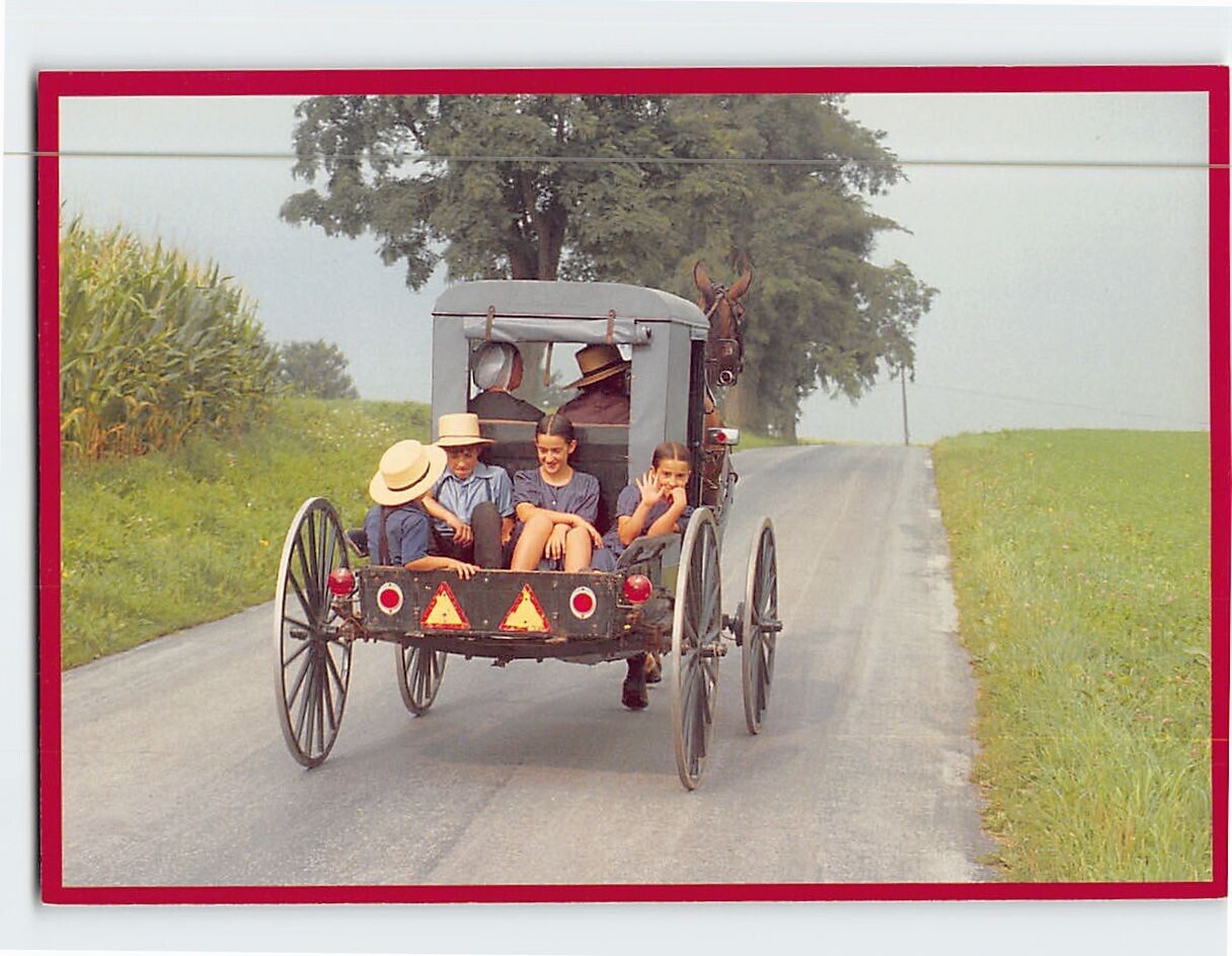 Postcard The market wagon Amish Seasons Pennsylvania USA
