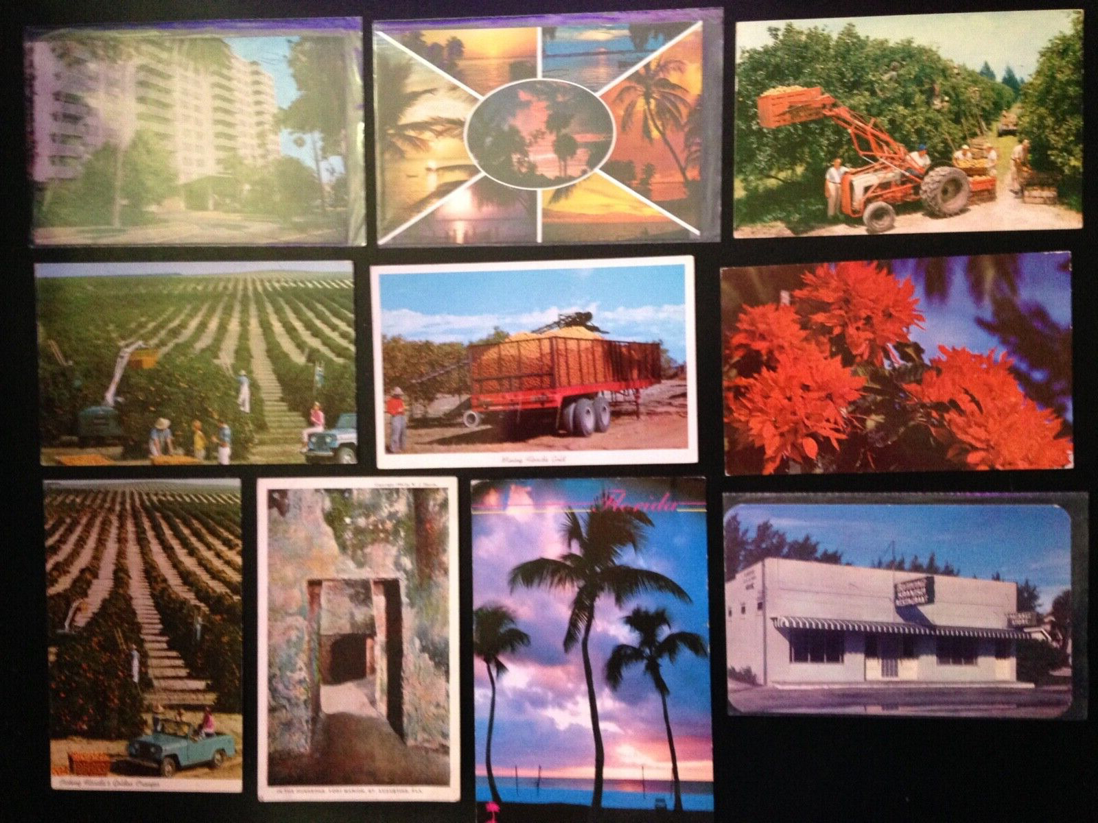 30+ Postcard lot, Florida. Set 9. Nice