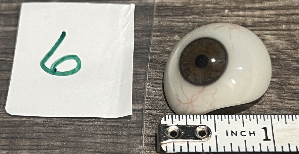 Antique Optometrist EyeBall Prosthetic Blown Glass dark brown bloodshot sclera 6