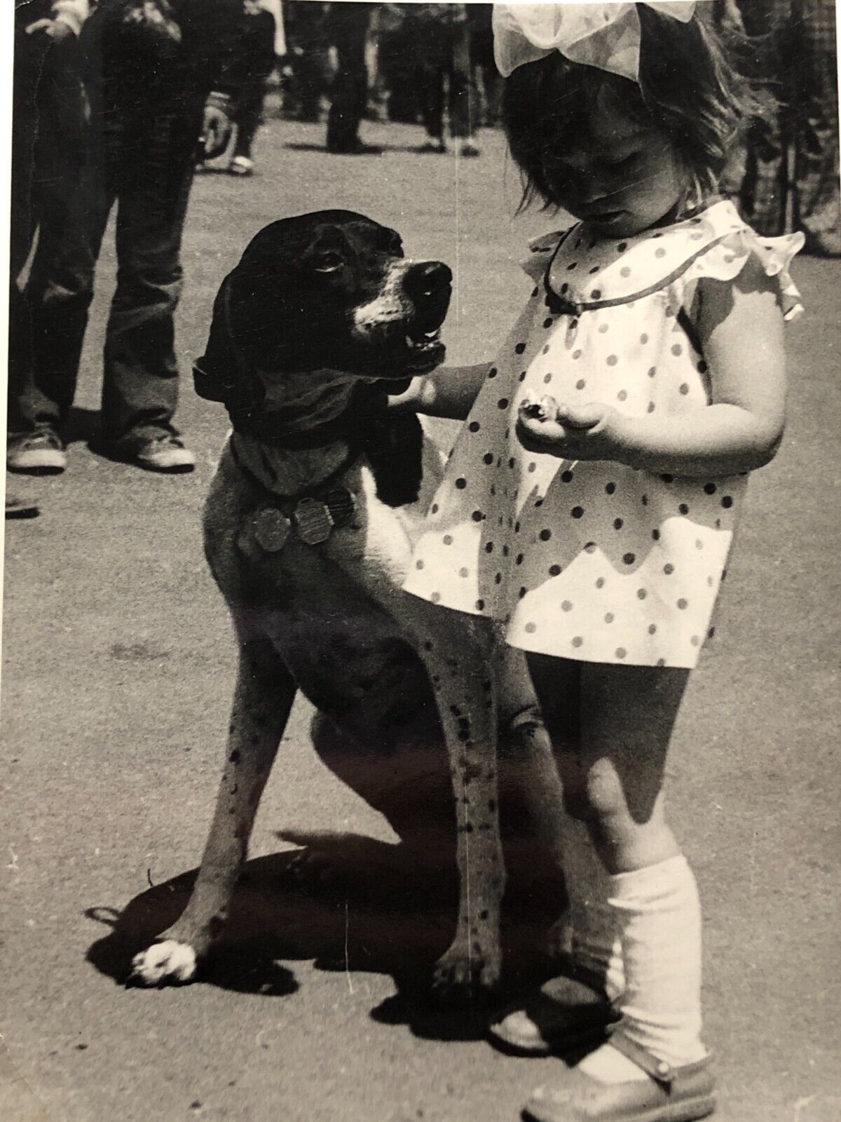 1970s Little Girl Child Petting Dog Exhibition Champion Snapshot Vintage Photo