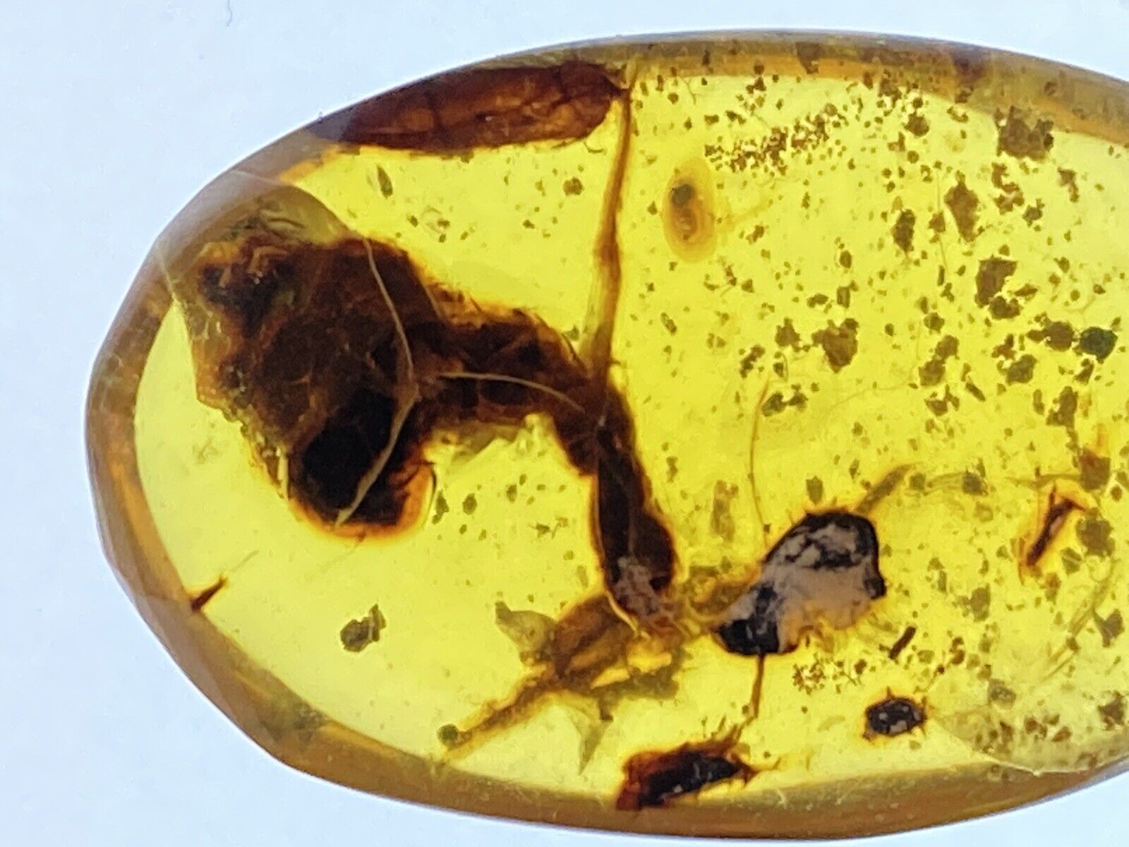 4 Beautiful Flowers🌻🌼🌸🌺 Botany Inclusions Fossil In Burmite Amber, 98MYO