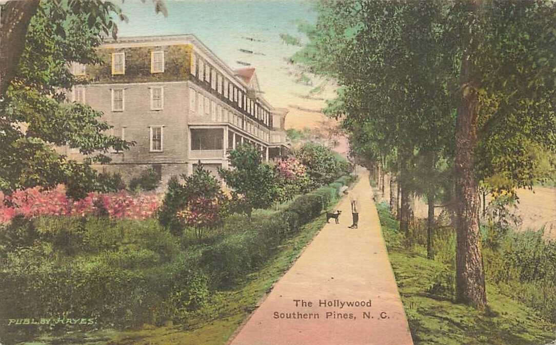 VTG  The Hollywood Hotel Dog Hand Colored Southern Pines NC P555