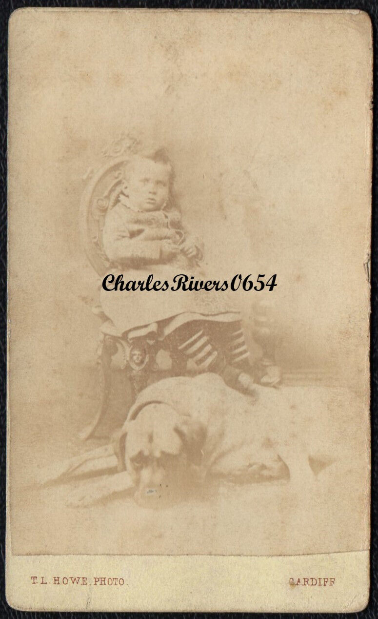 ** RESERVED SALE ** EARLY CDV CHILD WITH DOG VICTORIAN ANTIQUE PHOTO HOWE