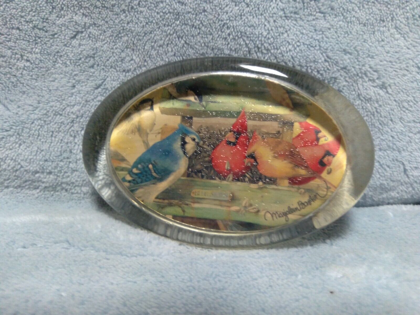 Marjolein Bastin Glass Magnifier Paperweight Blue jays and Cardinals at feeder