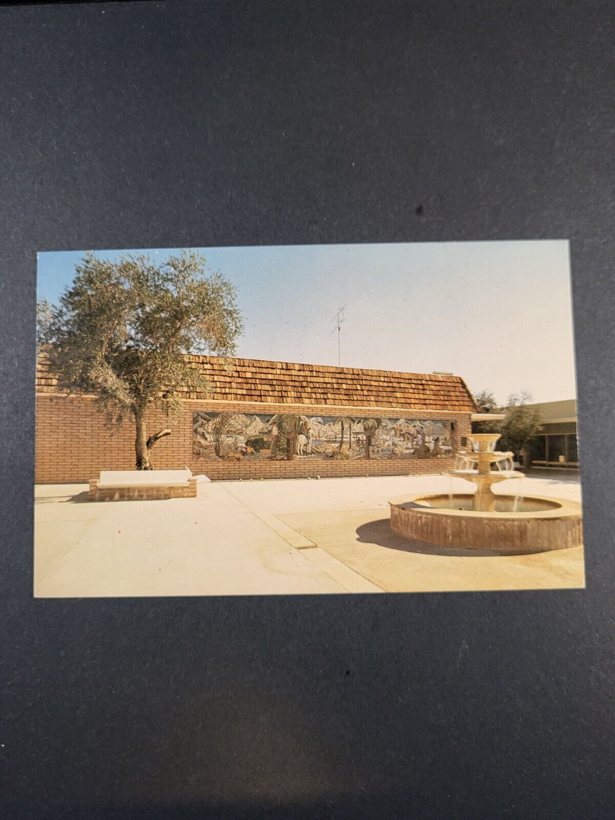 Postcard Borrego Springs Ca. Marble Granite Fountain Imported From Italy 1529
