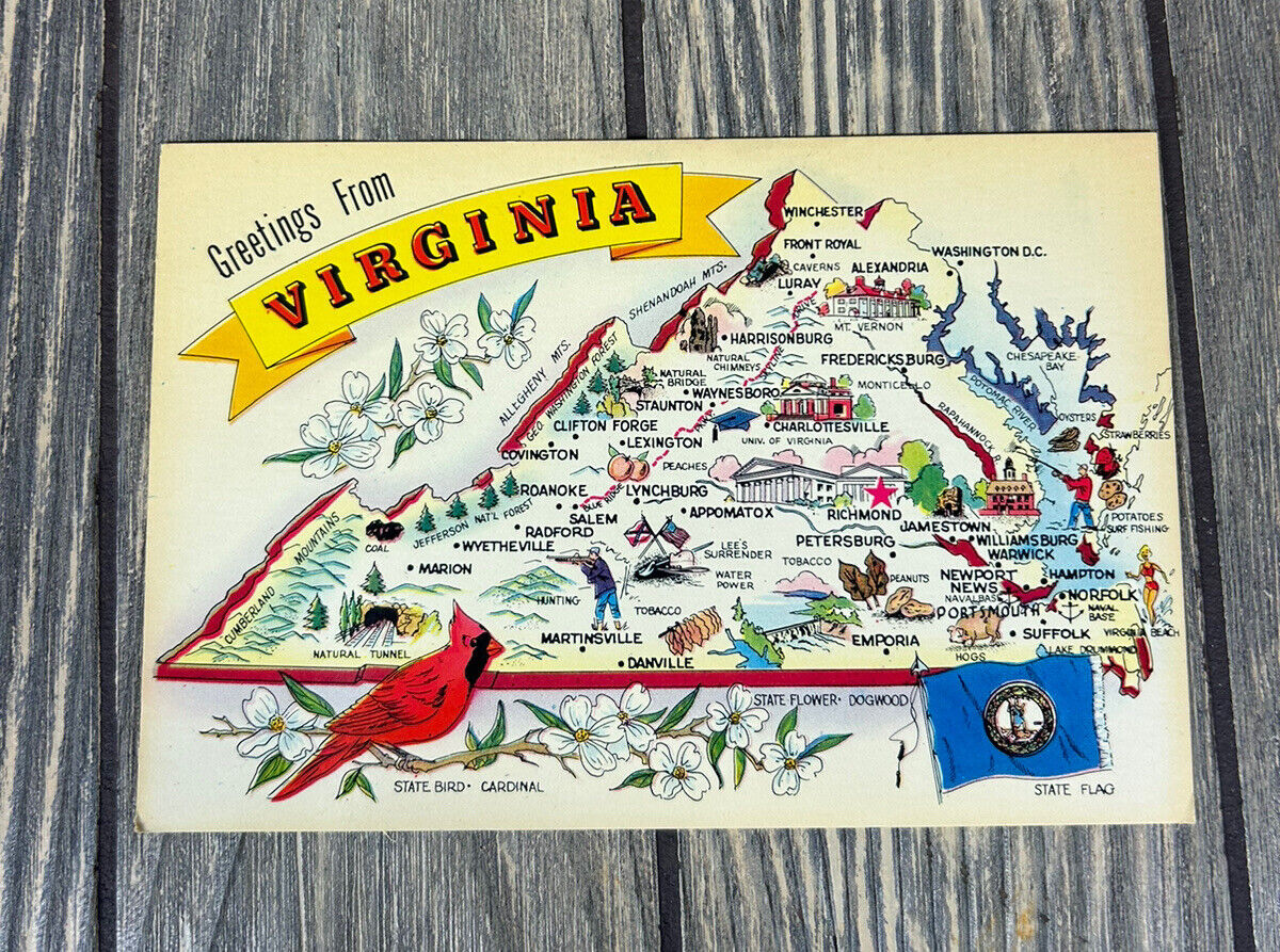 Vintage Greetings From Virginia Cardinal Postcard 