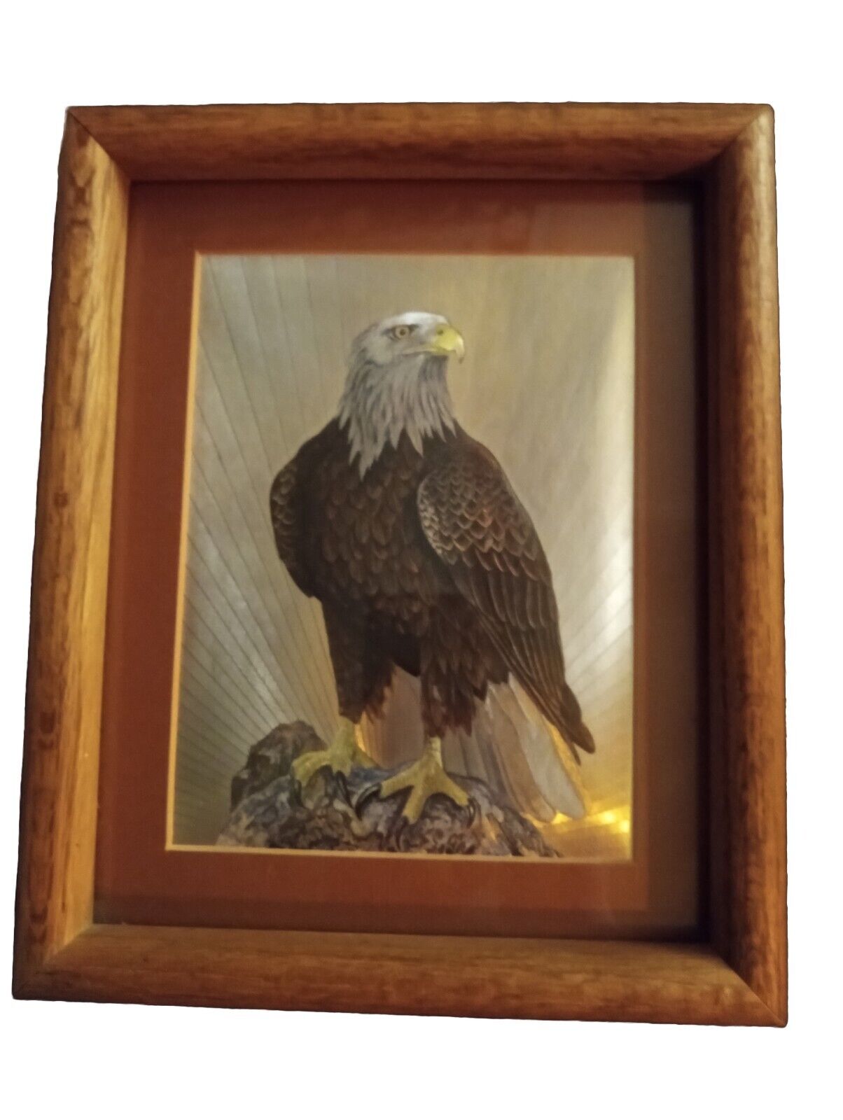 AMERICAN BALD EAGLE VINTAGE DUFEX FOIL ART PICTURE PRINT WITH MATTE 9X12\