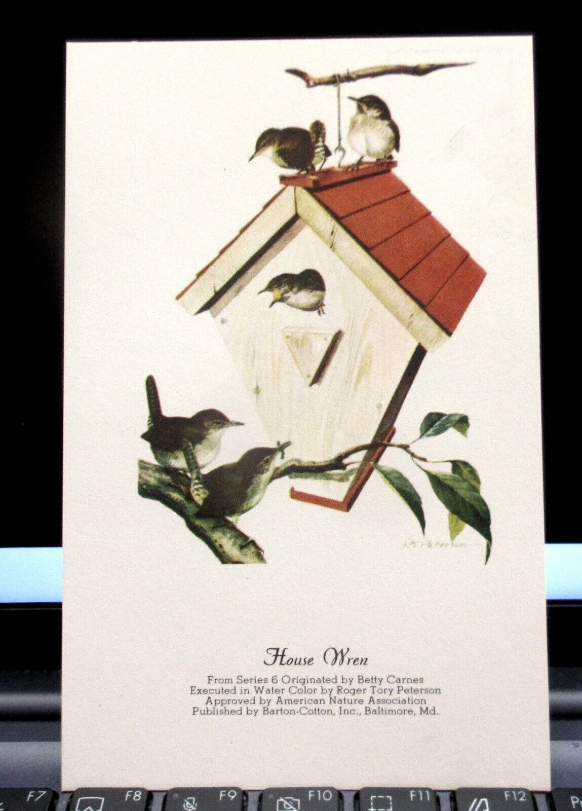 House Wren - Postcard Betty Carnes Series, water colors by Roger Tory Peterson