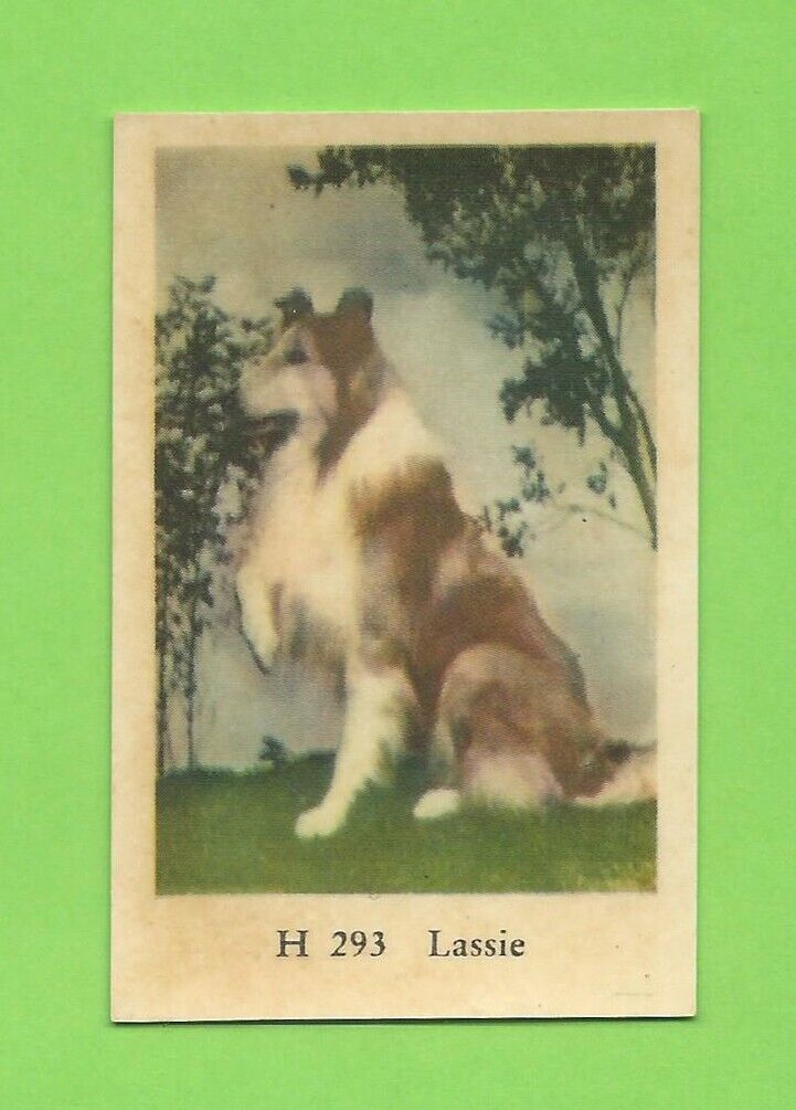 1961 Dutch Gum Card H #293 Lassie