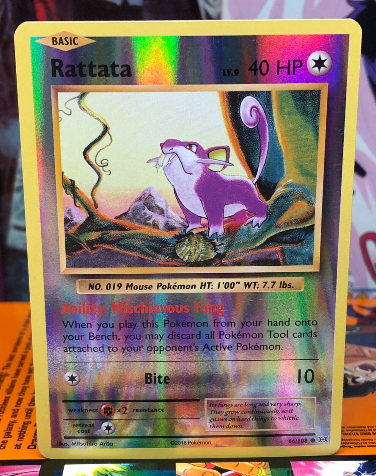 Rattata 66/108 Reverse Holo Common XY Evolutions Pokemon TCG