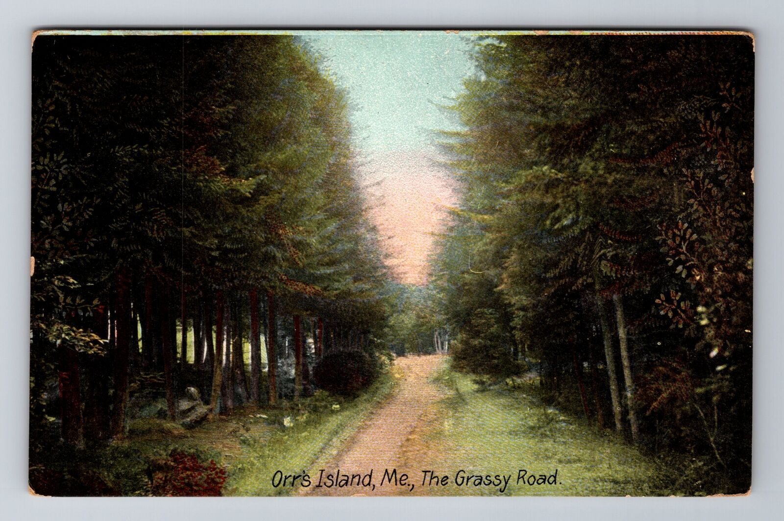 Orr\'s Island ME-Maine, The Grassy Road, Antique, Vintage Souvenir Postcard