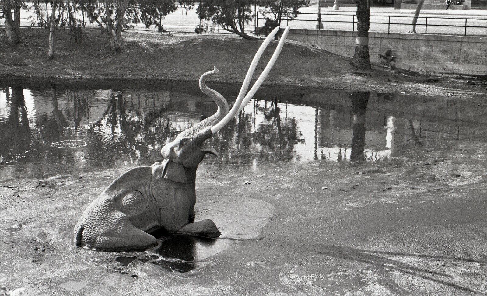 Los Angeles Long Beach LaBrea Tar Pits Queen Mary 35mm BW Negatives (12)