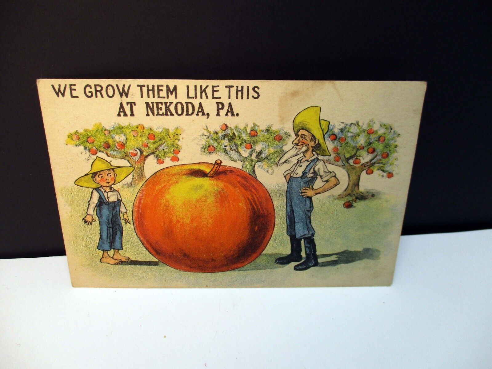 We Grow The Like This At Nekoda Pa 1913 Millerstown