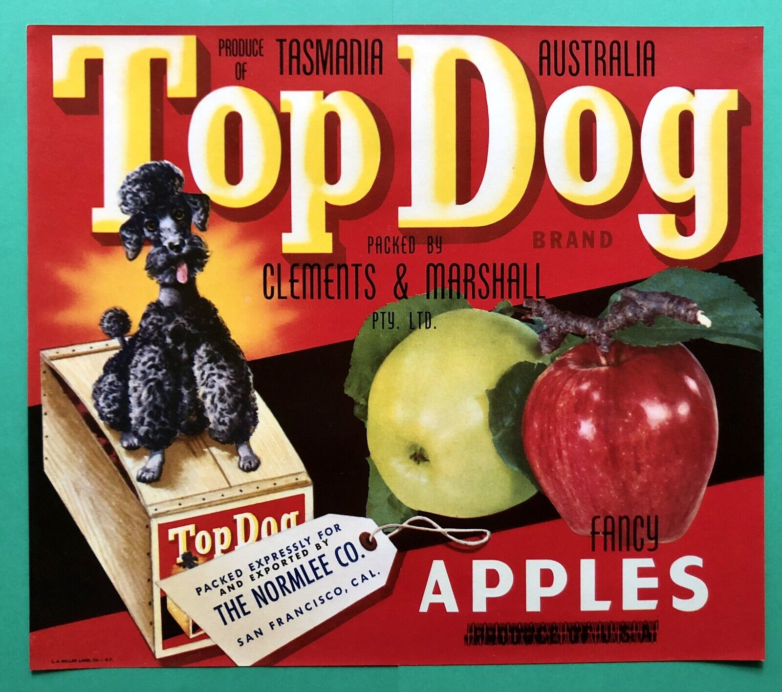 NOS Vintage 1950s Top Dog Apple Crate RARE