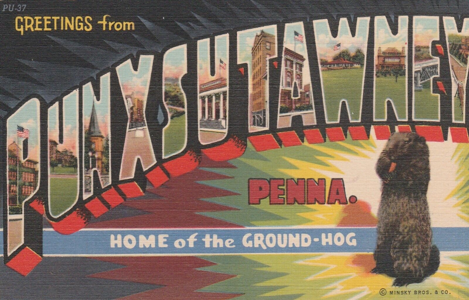 Punxsutawney, Penna. postcard c1950 Groundhog