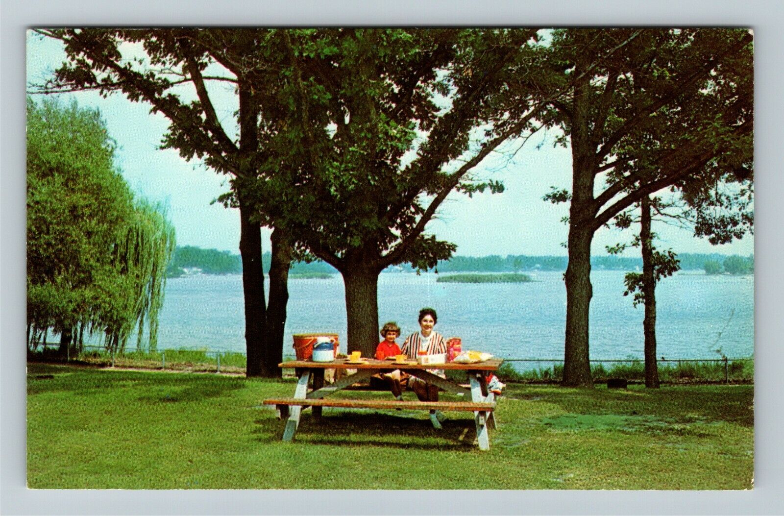Cass Lake MI-Michigan, Marshbank Metropolitan Park Vintage Souvenir Postcard