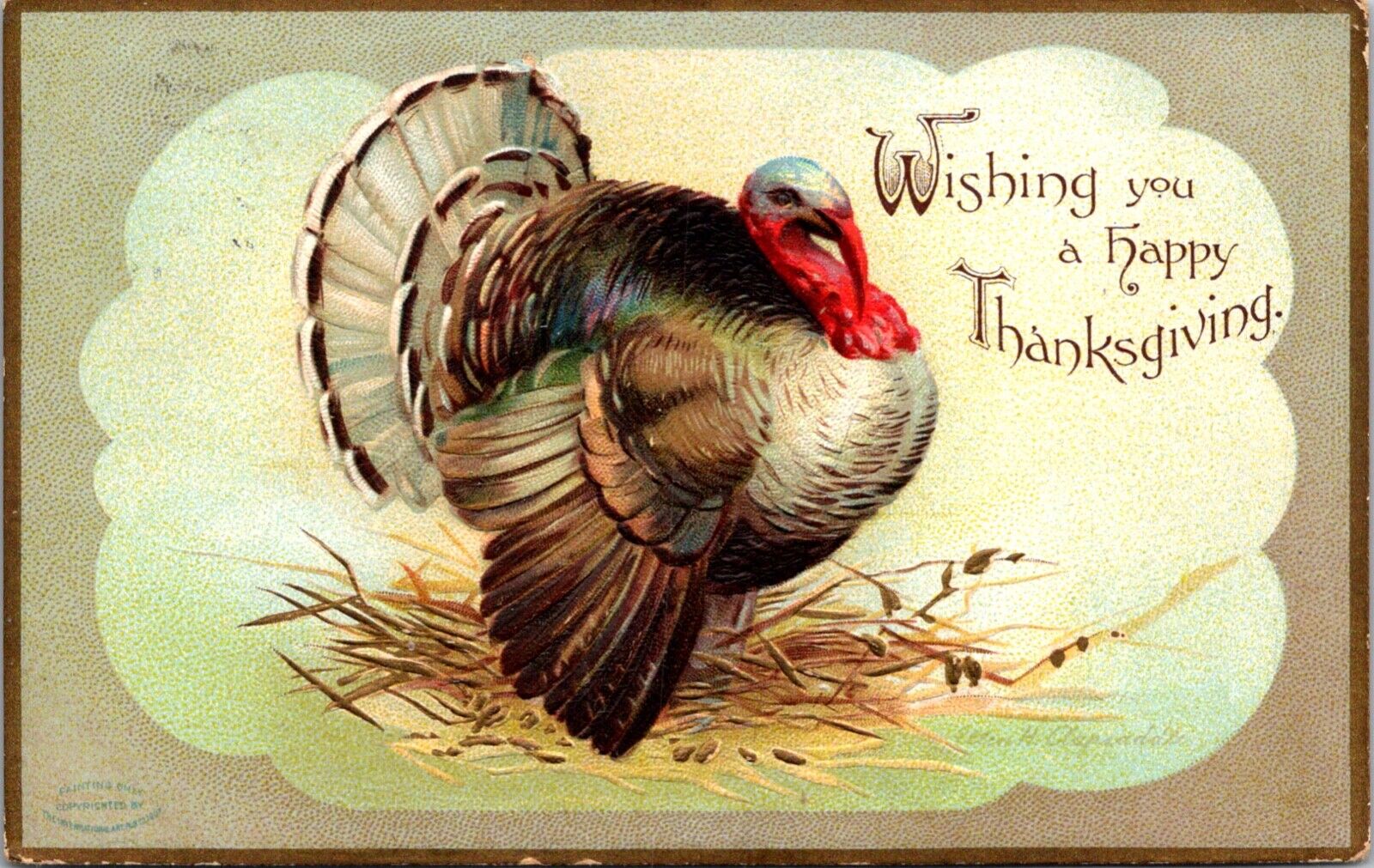 Clapsaddle Thanksgiving Postcard Turkey Sitting in Hay