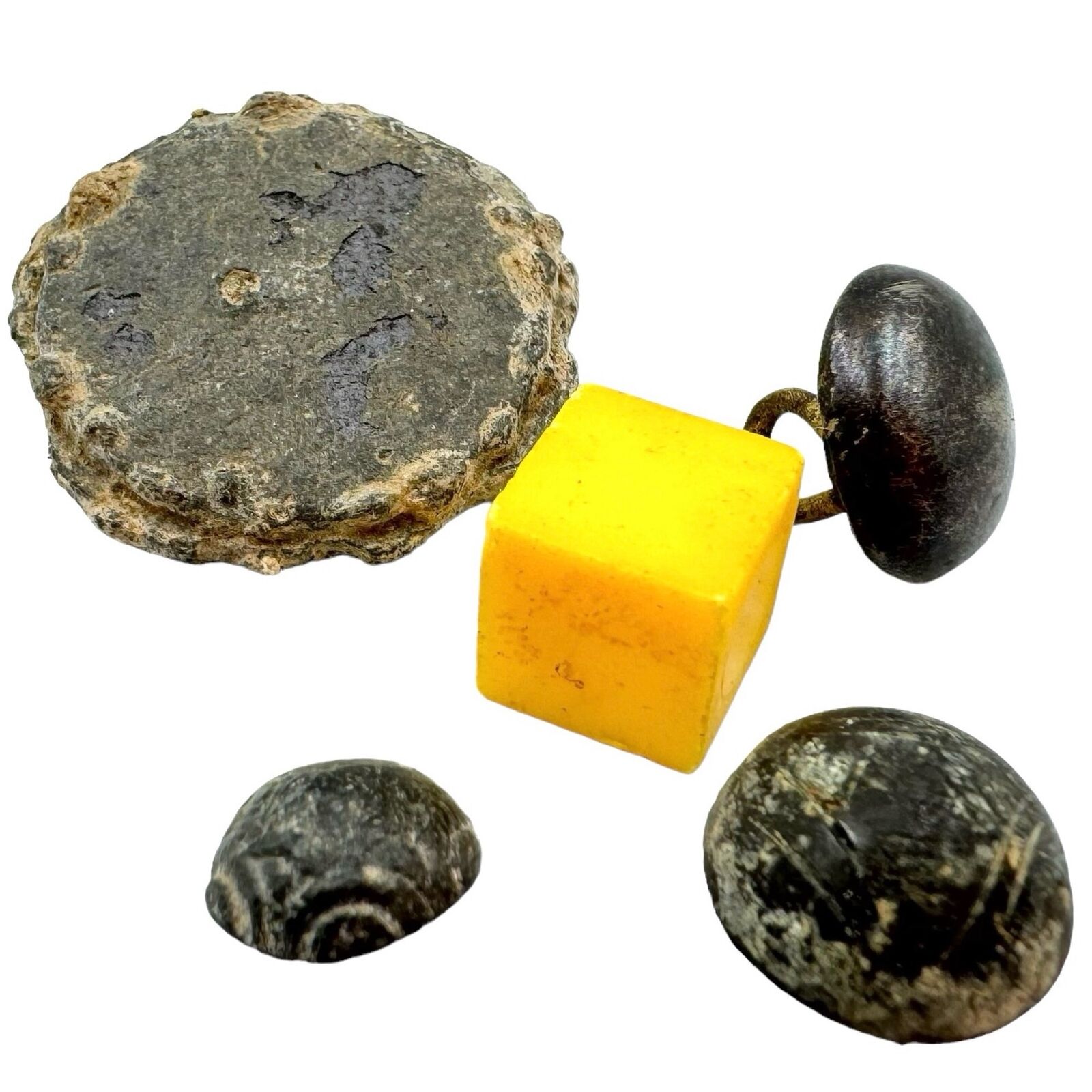 Rare Tudor/Medieval Buttons - Mudlarking Find, London Thames Foreshore -